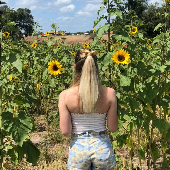 American Eagle Outfitters Pants - American Eagle Outfitters Sunflower Jean Shorts